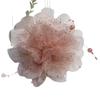 Elegant Peony Sequin Tassel Claw Clip Spring 2026 Hair Accessory