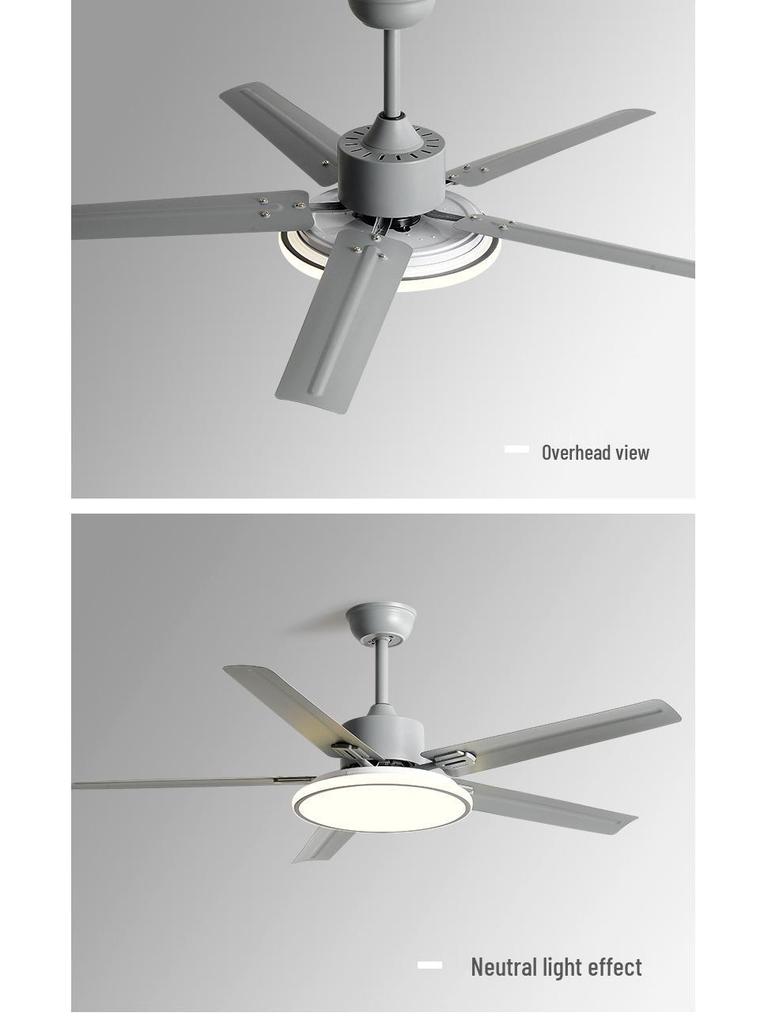 Modern Minimalist Ceiling Fan with Five Stainless Steel Blades, LED Light, Low Noise, and Frequency Conversion for Living Room or Dining Room.