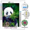 5D Diy Diamond Painting Animal Panda Cross Stitch Full Diamond Embroidery Mosaic