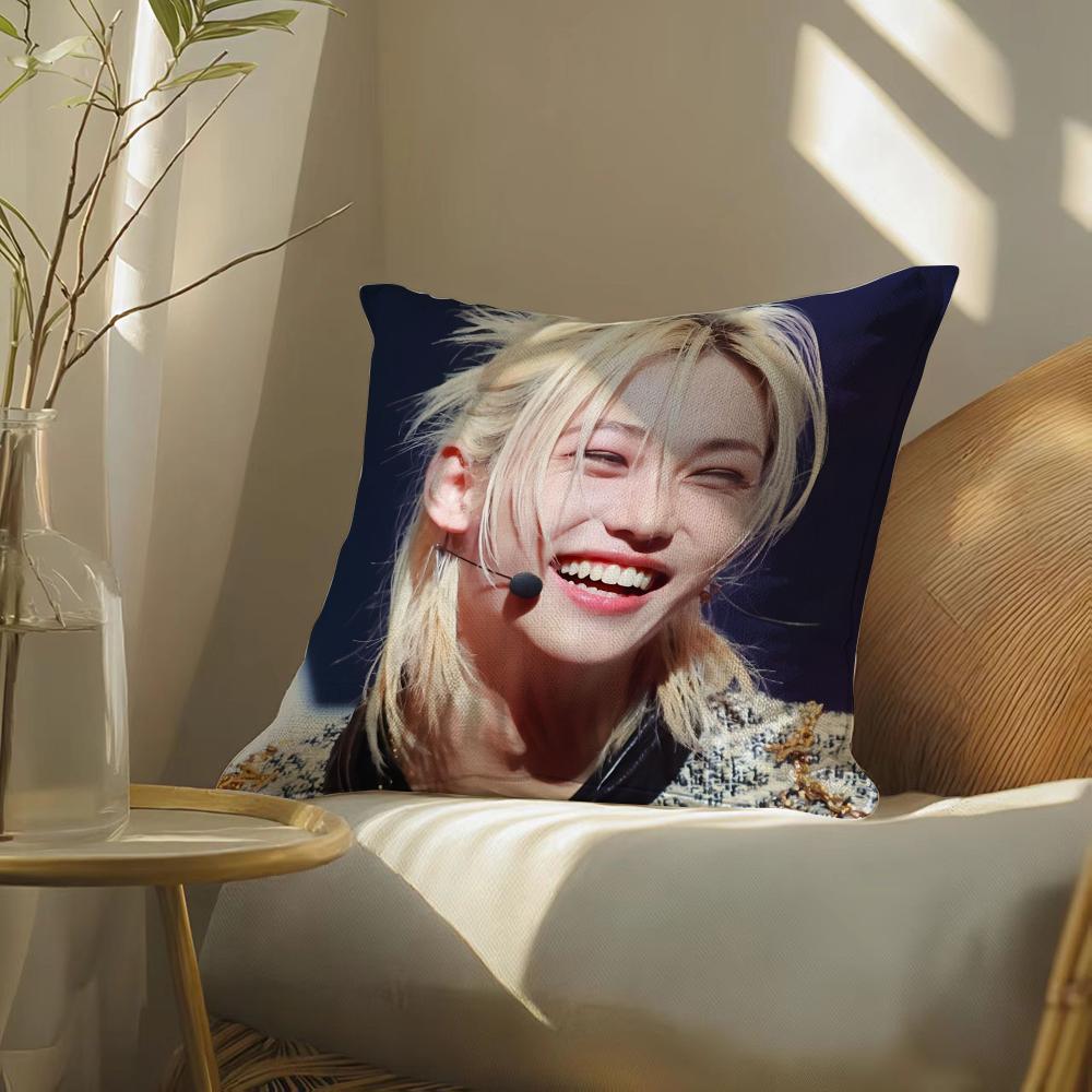 S-Strayskidssf-Felixs Pillow Case Pillowcase, Double-Sided Printed, Sofa Cushion, Bedroom Headboard
