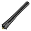 Foliatec 34667 Black Car Antenna