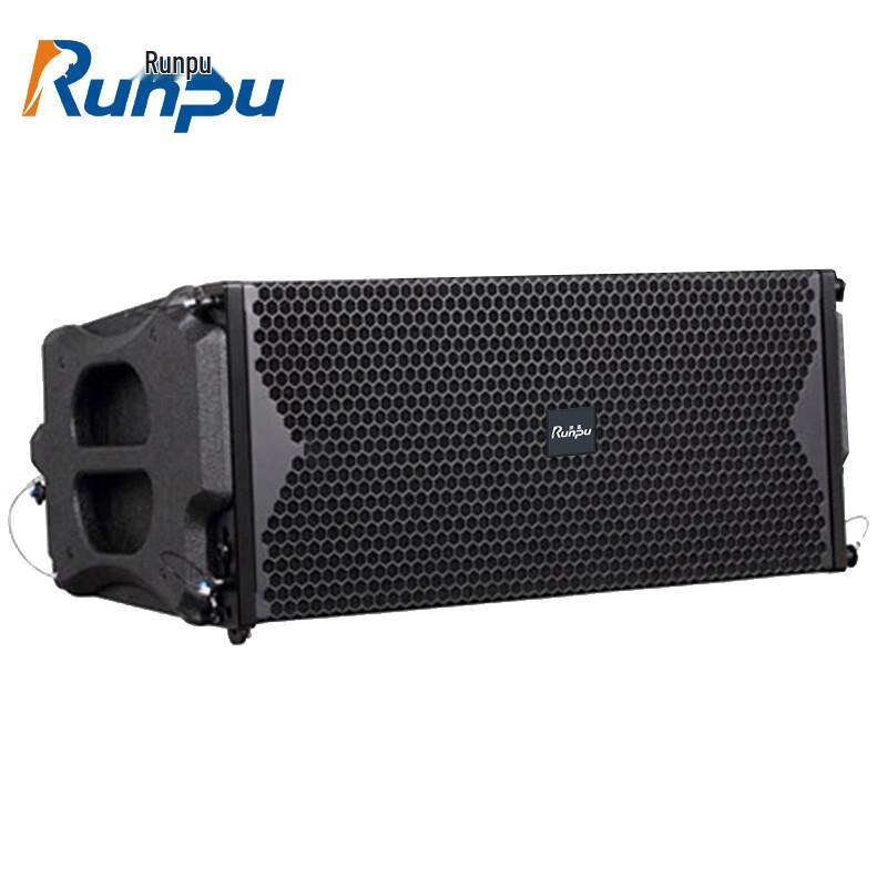 Runpu Professional Line Array Conference Speaker System
