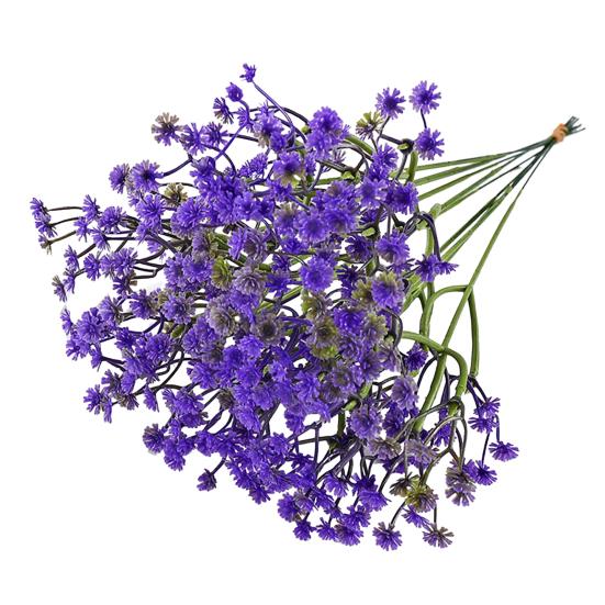 10 шт. Искусственные цветы гипсофилы, имитация живых, оптом, букеты из фальшивой гипсофилы со стеблями для свадьбы, дома, вечеринки, сада