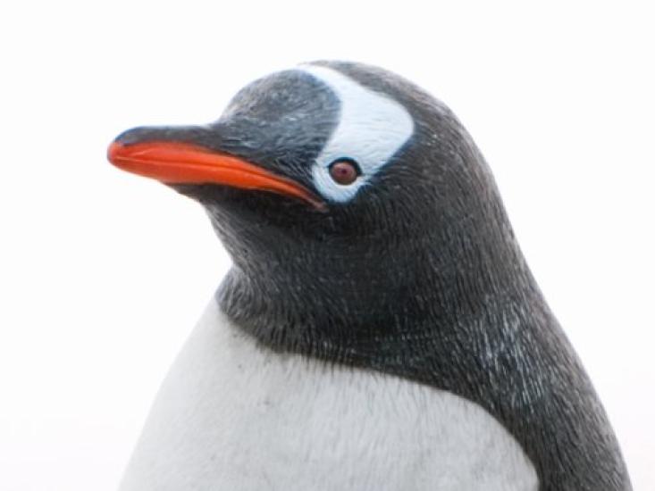 Gentoo Penguin Vinyl Model (FM-309)