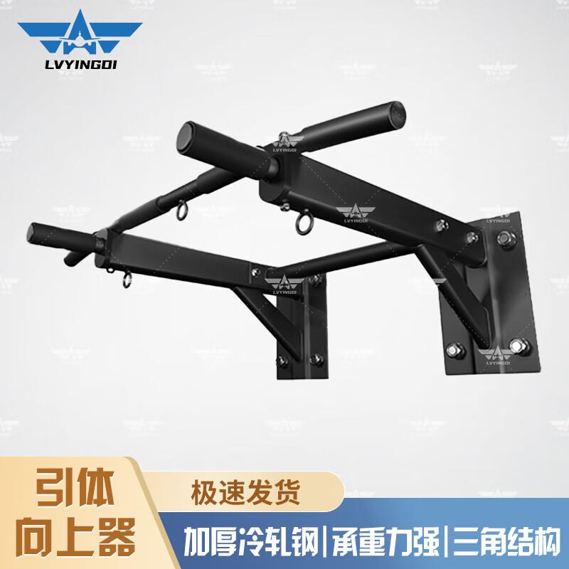 Wall-Mounted Pull-Up Bar