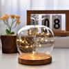 Glass Display Dome Glass Dome with Wooden Base Display Cover Decorative Glass Accent for Preserved Flowers Jewelry Showcase