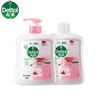 Dettol Antiseptic & Moisturizing Hand Wash Family Pack