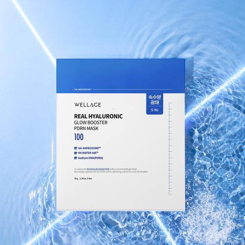 Wellage Real Hyaluronic Glow Booster PDRN Gel Mask 5ea NONE