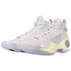 New LiNing Way Of Wade 10 Cushioning Anti Slip And Wear Resistant Coverage Support Mid Top Basketball Shoes Standard White ABAS075-2