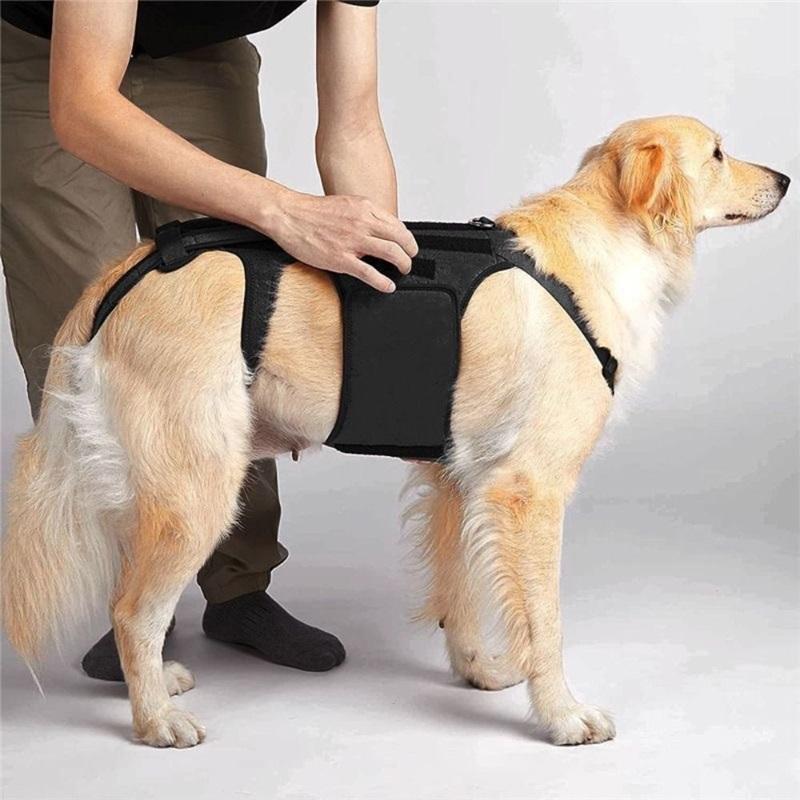 Comfortable Black Dog Back Support Vest Breathable Reusable Pet Orthopedic Support Brace Adjustable Dog Chest & Back Bracket Dog