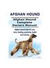 Libro Afghan Hound. Afghan Hound Complete Owners Manual. Afghan Hound Book for Care, Costs, Feeding, Grooming, Health and Training.