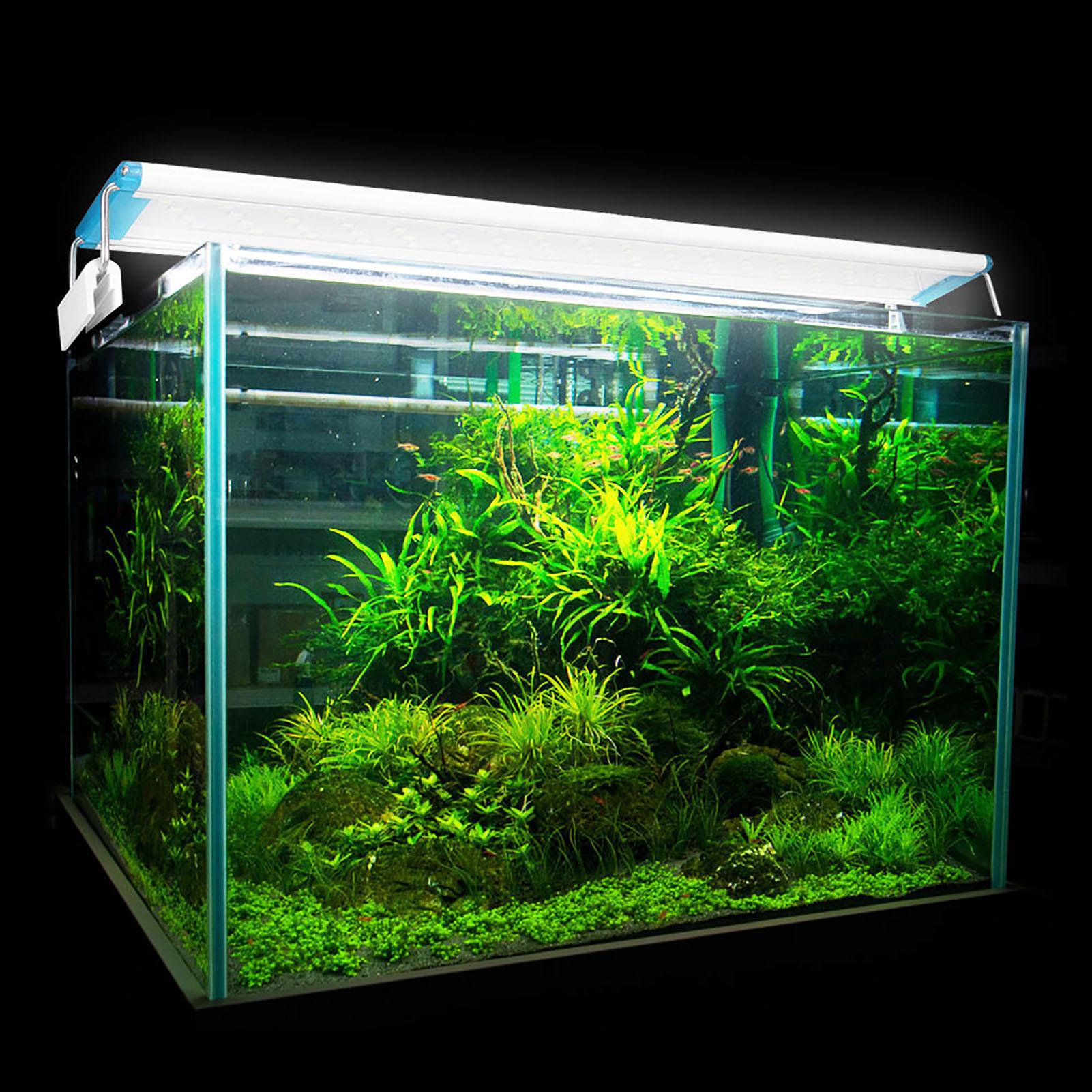 Aquarium Réservoir à Poissons Lampe LED Économie d'Énergie Étanche CN (AL 60LED)