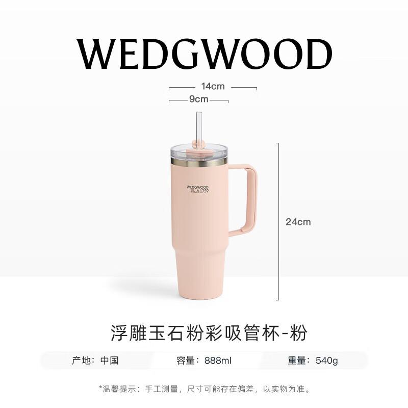 Wedgwood Embossed Jasperware Ceramic Insulated Straw Cup