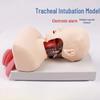 Neonatal Tracheal Intubation Training Manikin
