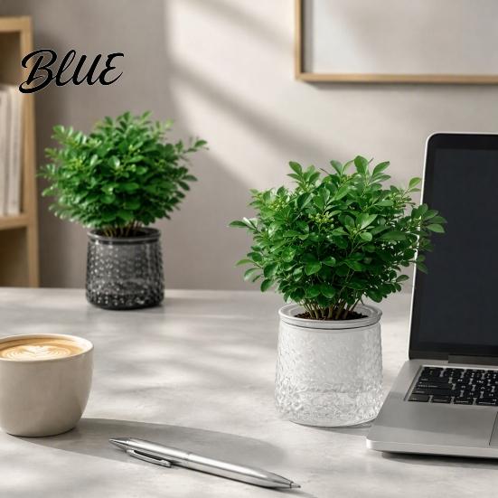 Clear Plastic Planters Self‑Watering Planter Pot Thick Transparent Flower Embossed Pothos Anthurium Growing Pots Decorative Indoor for Hydroponic