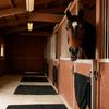 Waterproof Felt Stable Mat Nonslip Horse Floor Stable Mat Light weight Horse Stall Pad Easy To Clean for Floor Surfaces