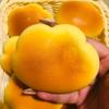 Caramel Color Cloud Bread Slow Rising Squishy Toy Soft Squeeze Kneading Fidget Stress Relief Anti Anxiety Rebound Toy
