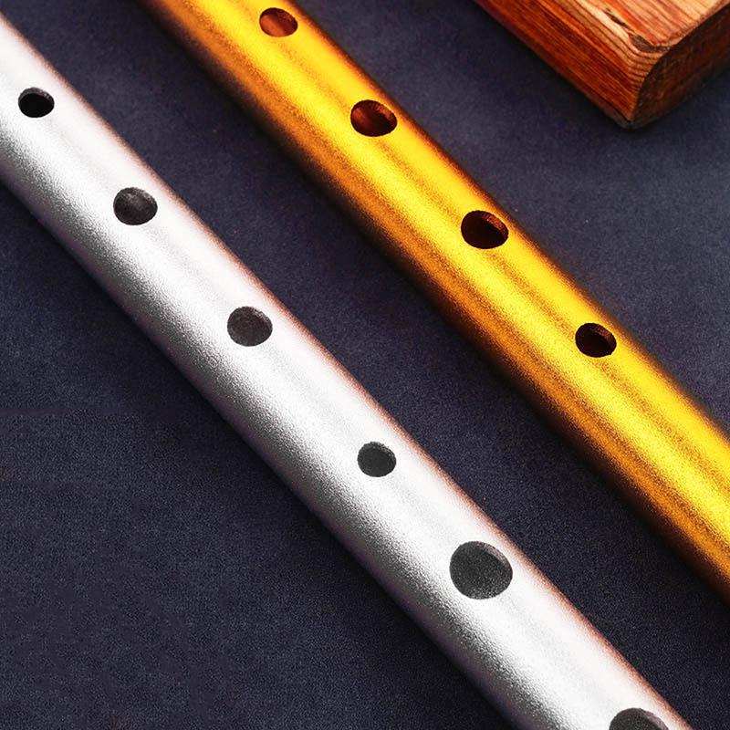 1 Stück authentische irische Pfeifenflöte, C/D-Tonart, Tin Penny Whistle mit 6 Löchern, perfektes traditionelles irisches Musikinstrument