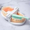 Yalinna Adult Soft Bristle Toothbrush