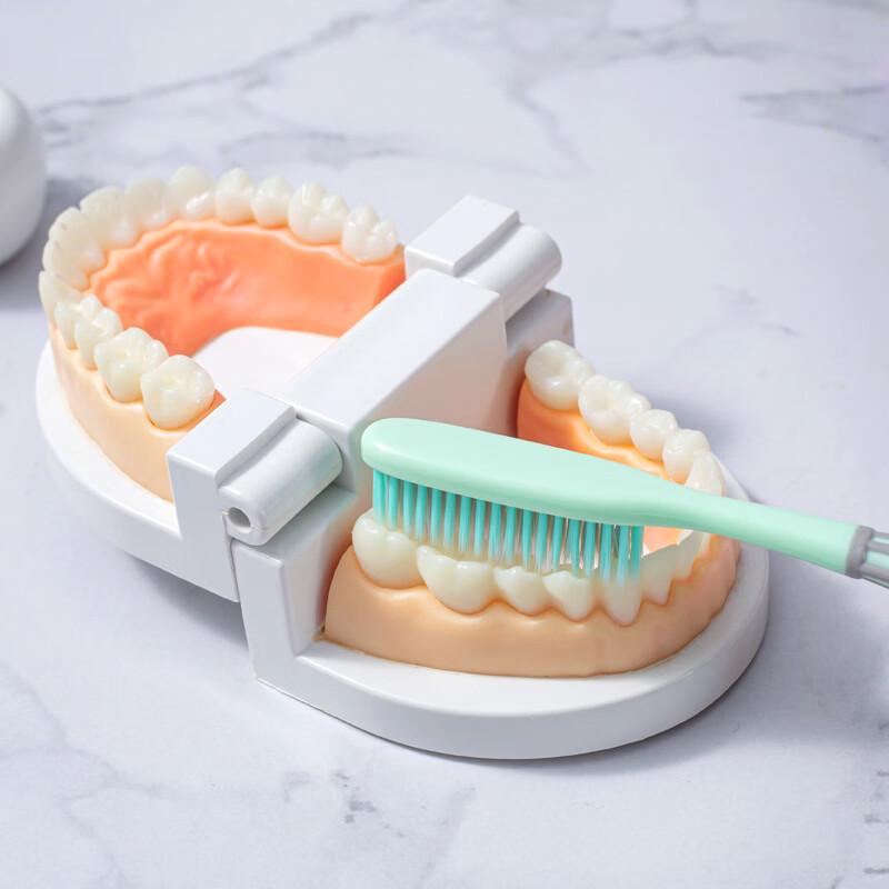 Yalinna Adult Soft Bristle Toothbrush