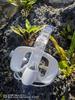 Ensemble Masque de Snorkeling Anti-buée à 180°, Anti-fuite pour Adultes et Enfants