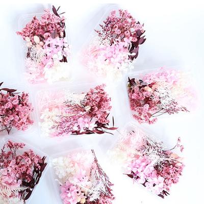 1 Box Preserved Beautiful Bright-colored Flower Dried Flower Stylish Visual Effect Dried Flower