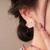 Rose Flower Flower Earrings Gradient Color Women Earrings Exquisite Floral Stud Earrings  Gift