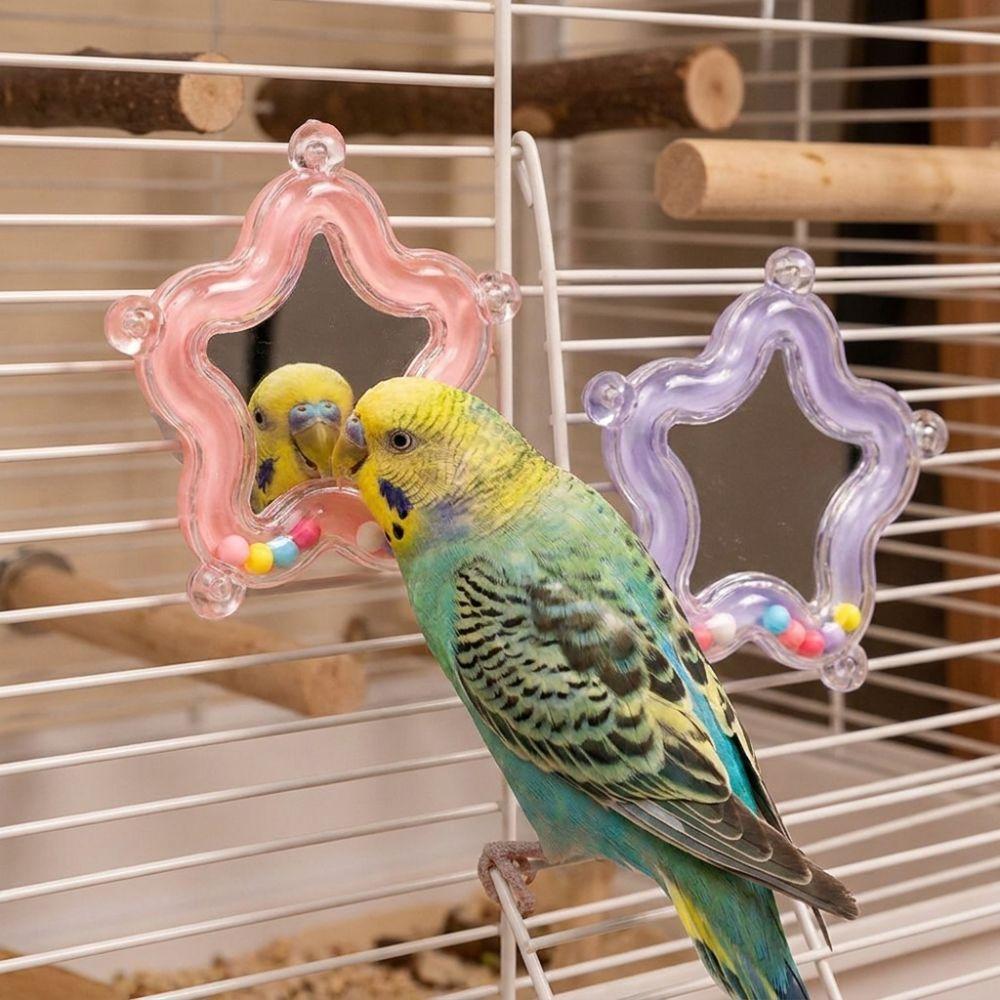 Colorful Beads Star Rotating Parrot Mirror Toy Mirror Parrot Interactive Toy  Bird Supplies