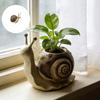 Cartoon Succulents Pots Snail Shape Succulents Planter Container Animal Planter Plant Pots Snail Flower Pot for Home Dec