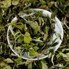 500g Yunnan White Tea Early Spring Ancient Fuding White Tea Process White Tea