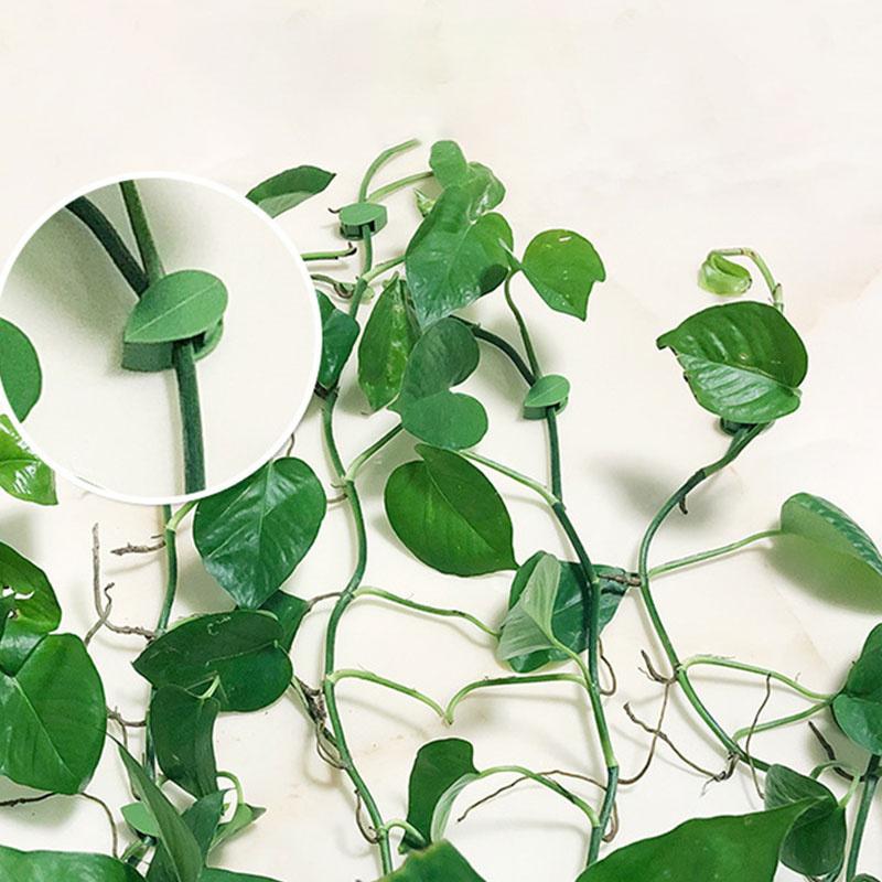 10Pcs Plant Fixture Clip Plant Climbing Wall Self-Adhesive Fastener Tied Fixture