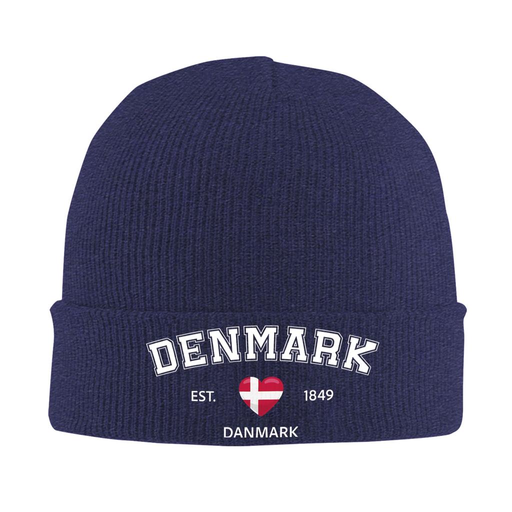 Denmark Est 1849 Knitted Hat Beanie Hats Outdoor Thermal Elastic Unisex Adult Bonnet Hats Autumn Winter Printed Hip Hop Caps