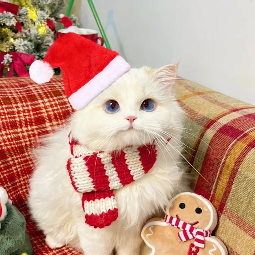 2 szt. Czerwona czapka Świętego Mikołaja dla zwierząt pluszowy miś kot pies czapka kreatywna nakrycie głowy przebranie Strój do sesji zdjęciowej rekwizyty