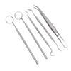 5pcs Professional Oral Health Care Pick Tools Stainless Steel Teeth Cleansing Calculus Remover Tool