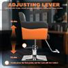 Styling Chair Hair Salon Chair, Stylist with Heavy Duty Hydraulic Pump, 360 Degrees Rolling Swivel Hairdressing Beauty Equipment, Max Load Weight 330
