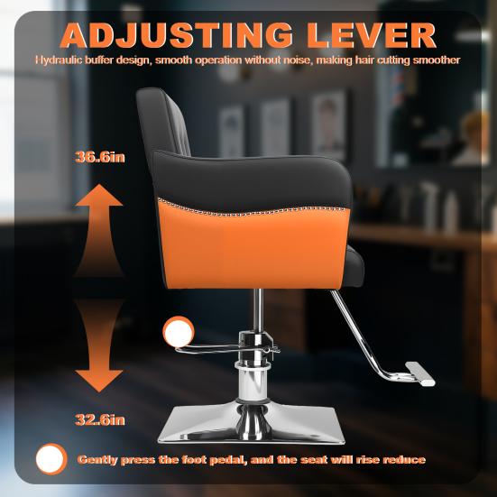 Styling Chair Hair Salon Chair, Stylist with Heavy Duty Hydraulic Pump, 360 Degrees Rolling Swivel Hairdressing Beauty Equipment, Max Load Weight 330