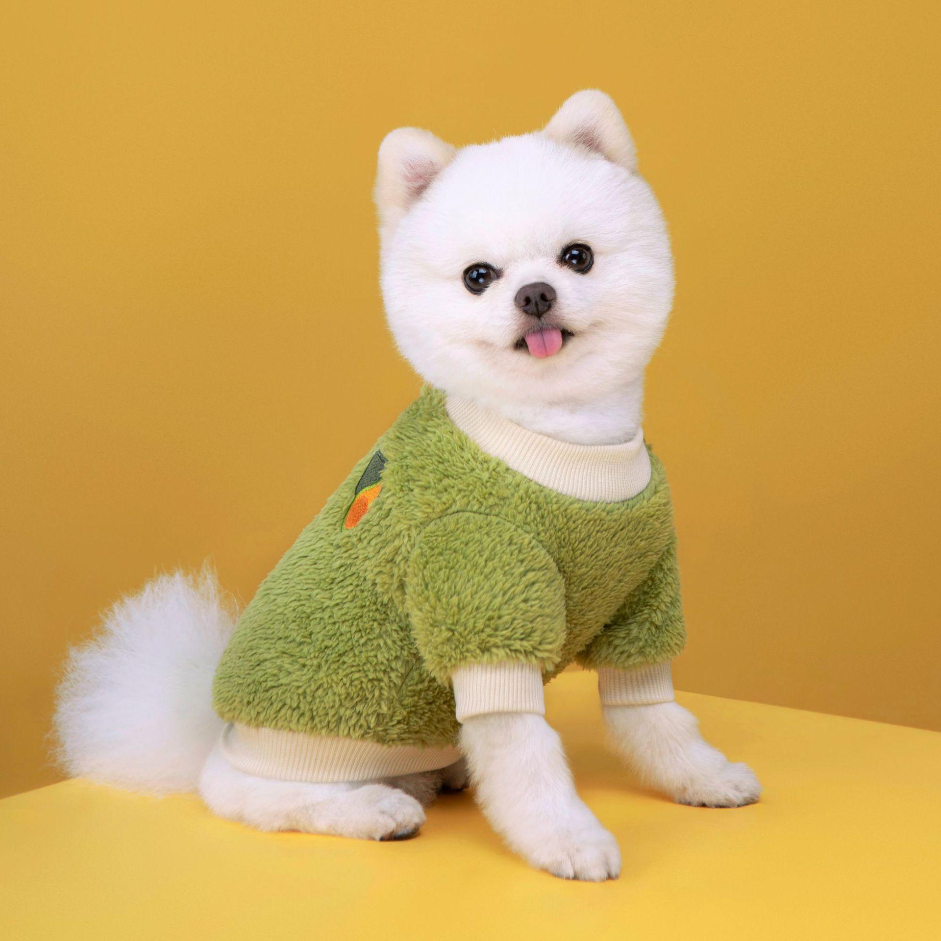 Rainbow Striped Flannel Clothes for Small & Medium Dogs - Soft, Cute, Two-Legged Design Small