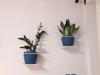 White Metal Wall Flower Stand, Flowerpot Hanger, Modern Plant Holder