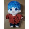 Used BTS V Sewing 20cm