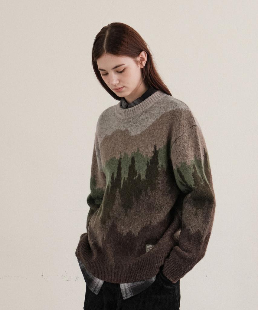 HELEMENT Attu Graphic Pullover (Brown)