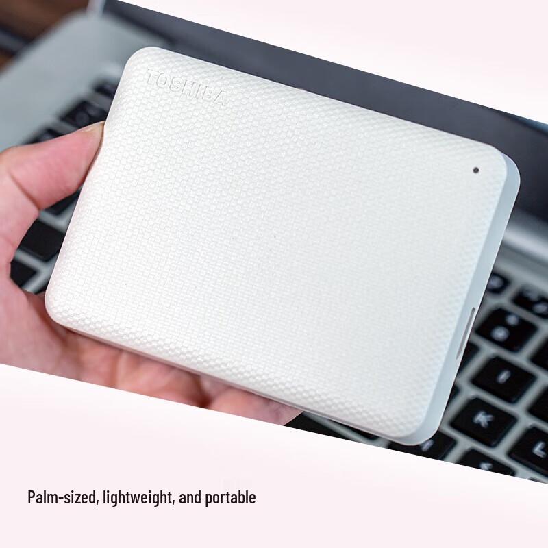 Toshiba 4TB V10 Series Portable External Hard Drive