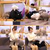 Plush Mouse Toy Collectible Gift For Corporate Events And Year Of The Rat Celebrations