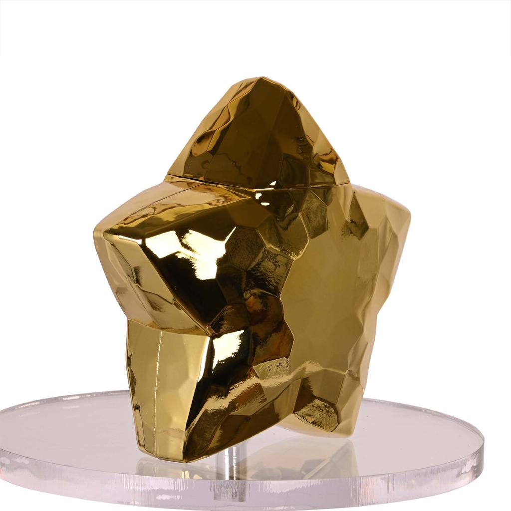 Set of 2 Plastic Straw Cup with Straw Elegant Beverage Cup Colorful Star Shaped Drinkware Water Bottle for Women Girls