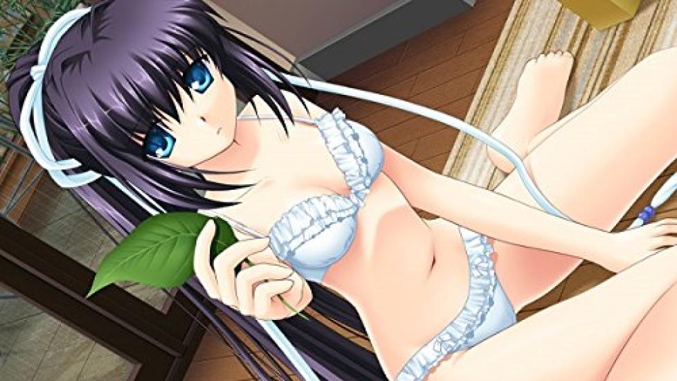 Ediție Standard Rewrite+