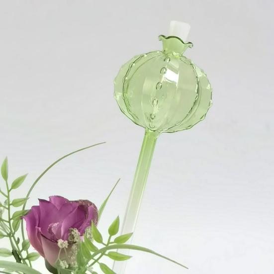 Plant Watering Bulbs Planter Insert Self Watering Globes with Stoppers Cactus Ball Shape Vacation Plant Watering Tools