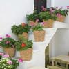 Haiabei 4 Stuks Riet Geweven Plantenmand Midden Premium Zeegras Plantenmand Met Plastic Bekleding Natuurlijk Stijlvol Plantenmanden