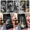 Telefon kapları – Smartphone Bumper Kılıflar