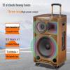 MALONE Portable Outdoor Karaoke Bluetooth Speaker CN plug (adapter included)