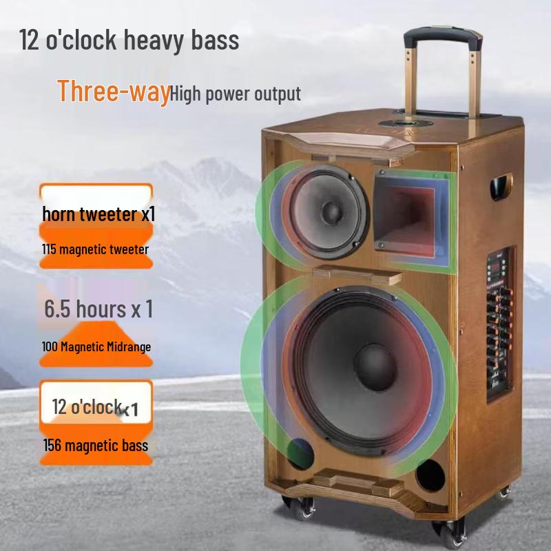MALONE Portable Outdoor Karaoke Bluetooth Speaker CN plug (adapter included)