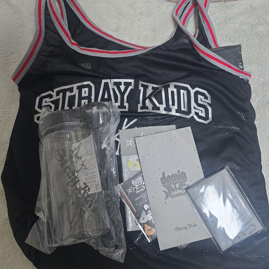

[USED] StrayKids Ecopa 5/11 Upgrade Bonus